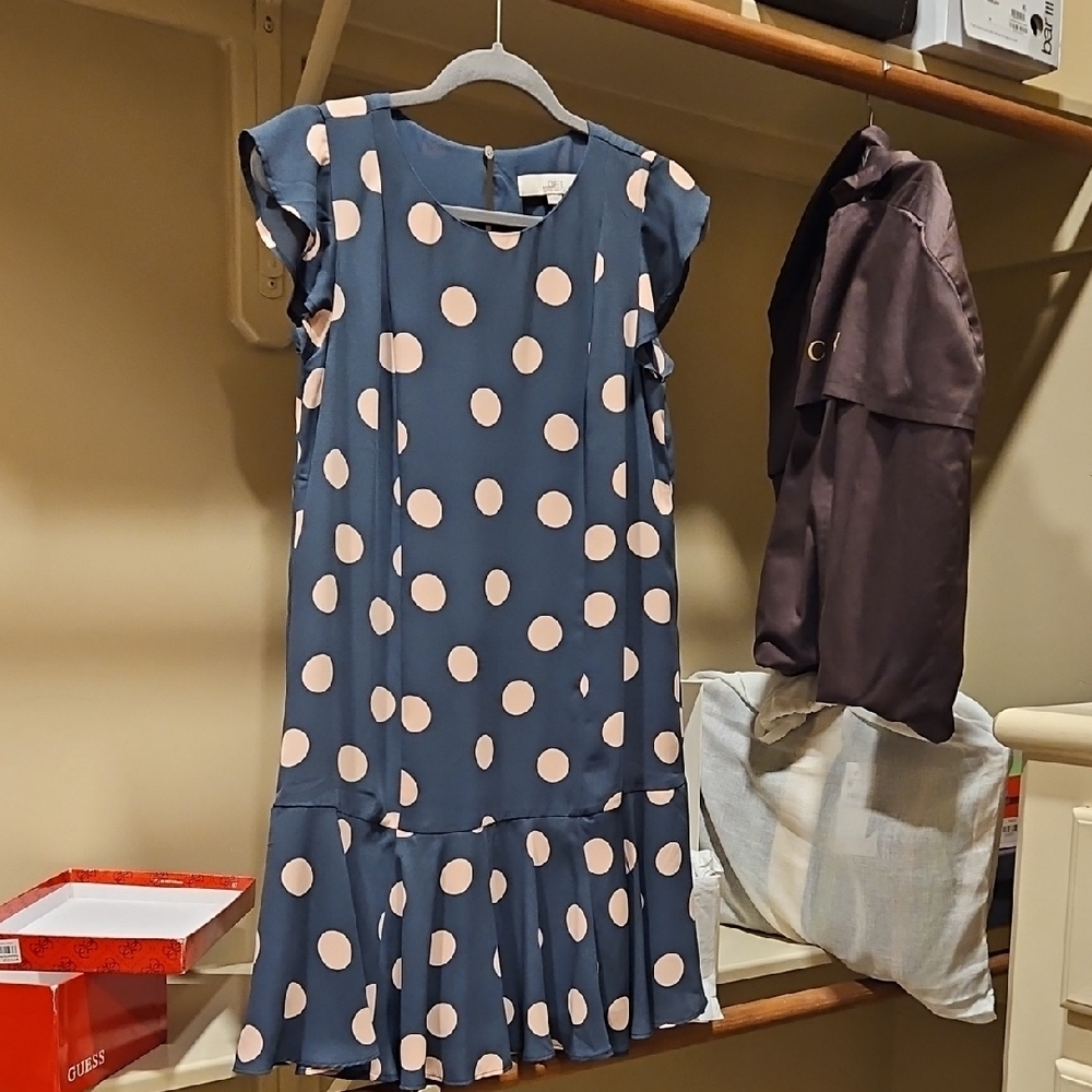 LOFT Polka Dot Womens Dress